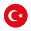 türkiye +90 sms onay